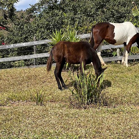 Готель Fazenda Do Engenho Santa Rita do Rio Abaixo Екстер'єр фото