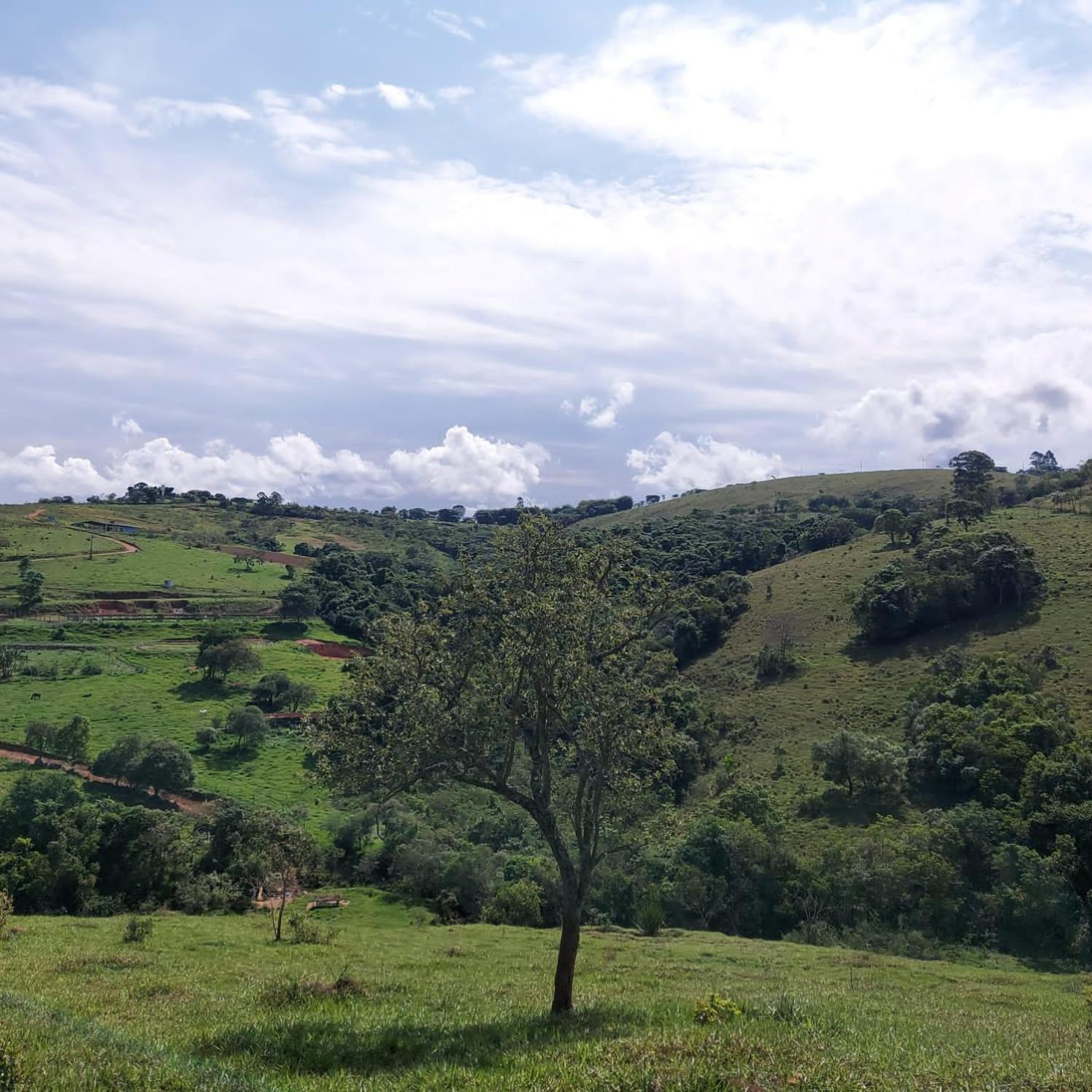Готель Fazenda Do Engenho Santa Rita do Rio Abaixo Екстер'єр фото