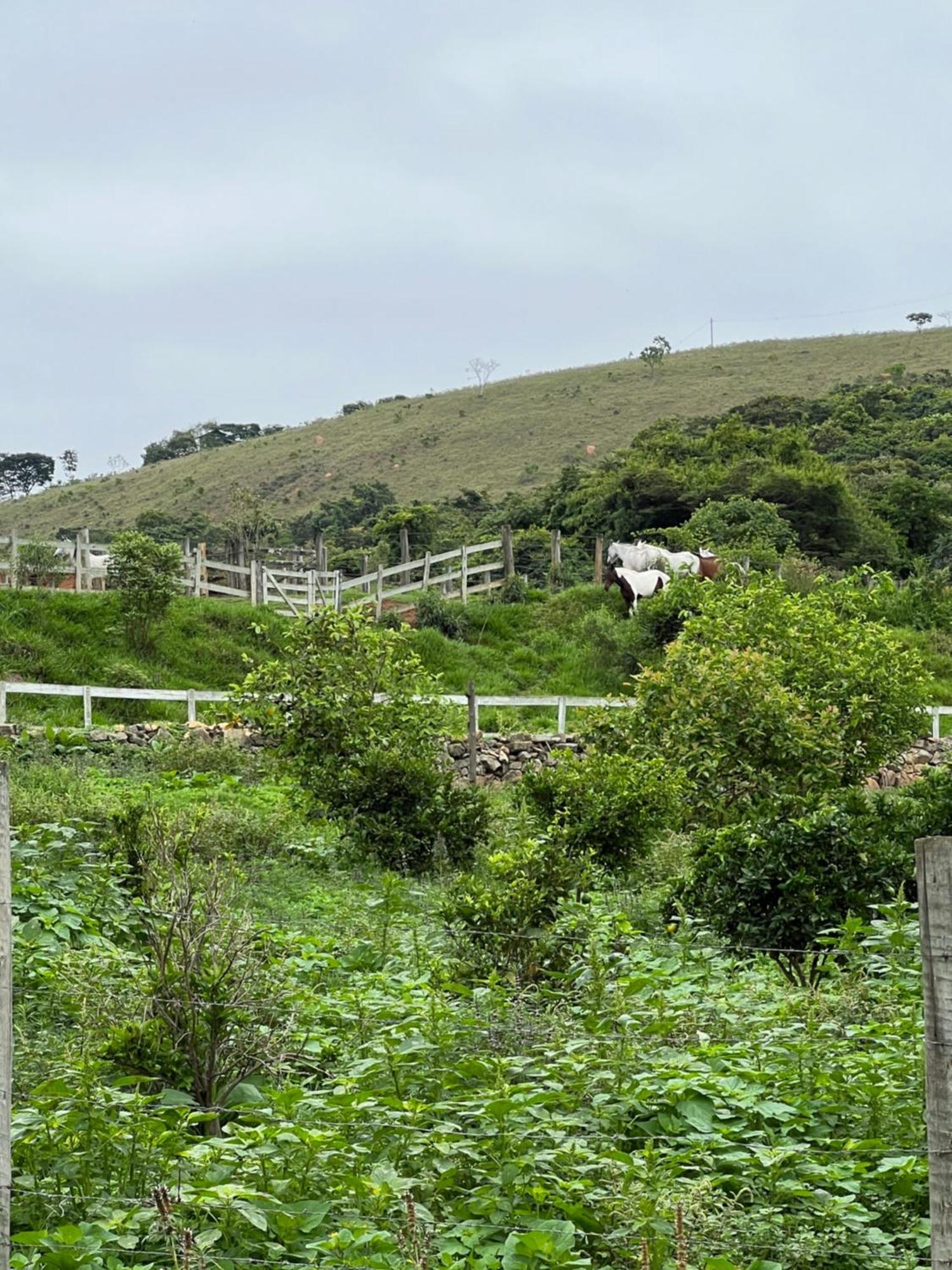 Готель Fazenda Do Engenho Santa Rita do Rio Abaixo Екстер'єр фото
