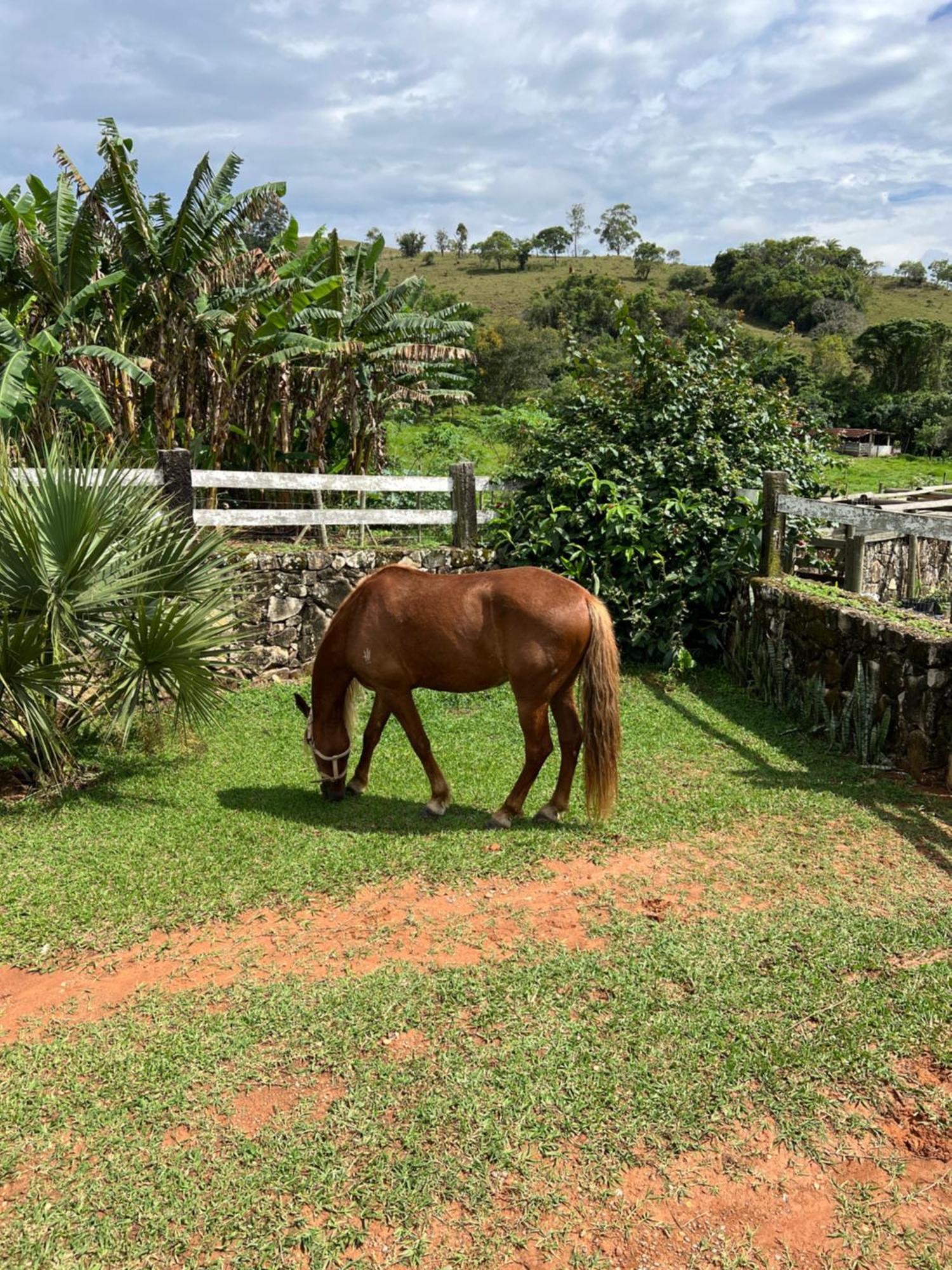 Готель Fazenda Do Engenho Santa Rita do Rio Abaixo Екстер'єр фото