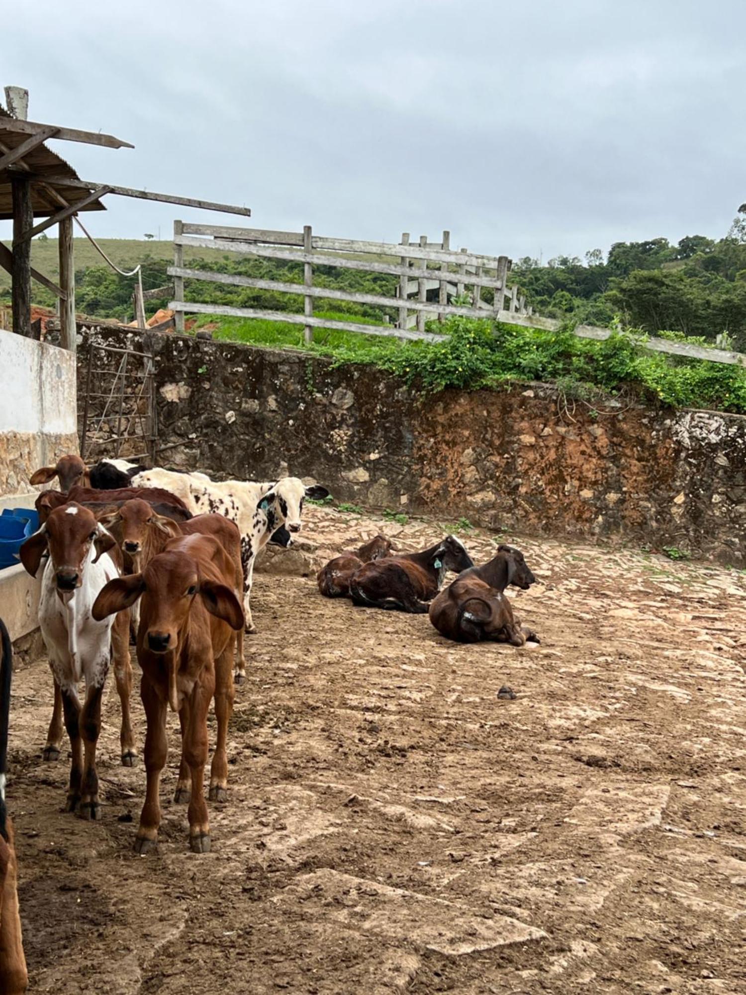 Готель Fazenda Do Engenho Santa Rita do Rio Abaixo Екстер'єр фото
