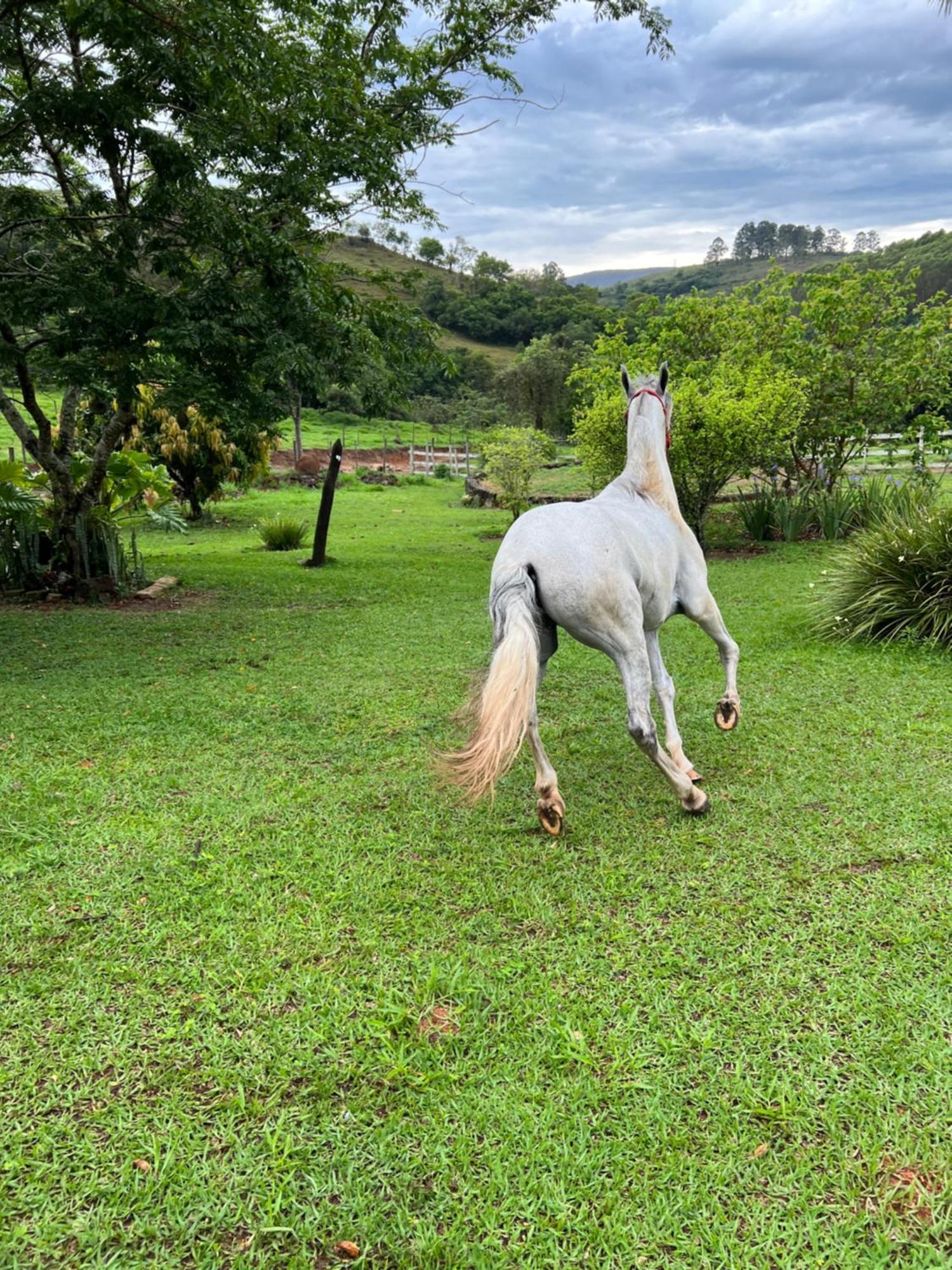 Готель Fazenda Do Engenho Santa Rita do Rio Abaixo Екстер'єр фото