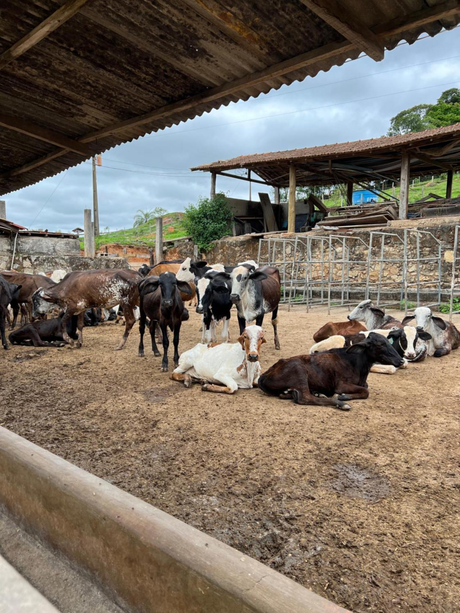 Готель Fazenda Do Engenho Santa Rita do Rio Abaixo Екстер'єр фото