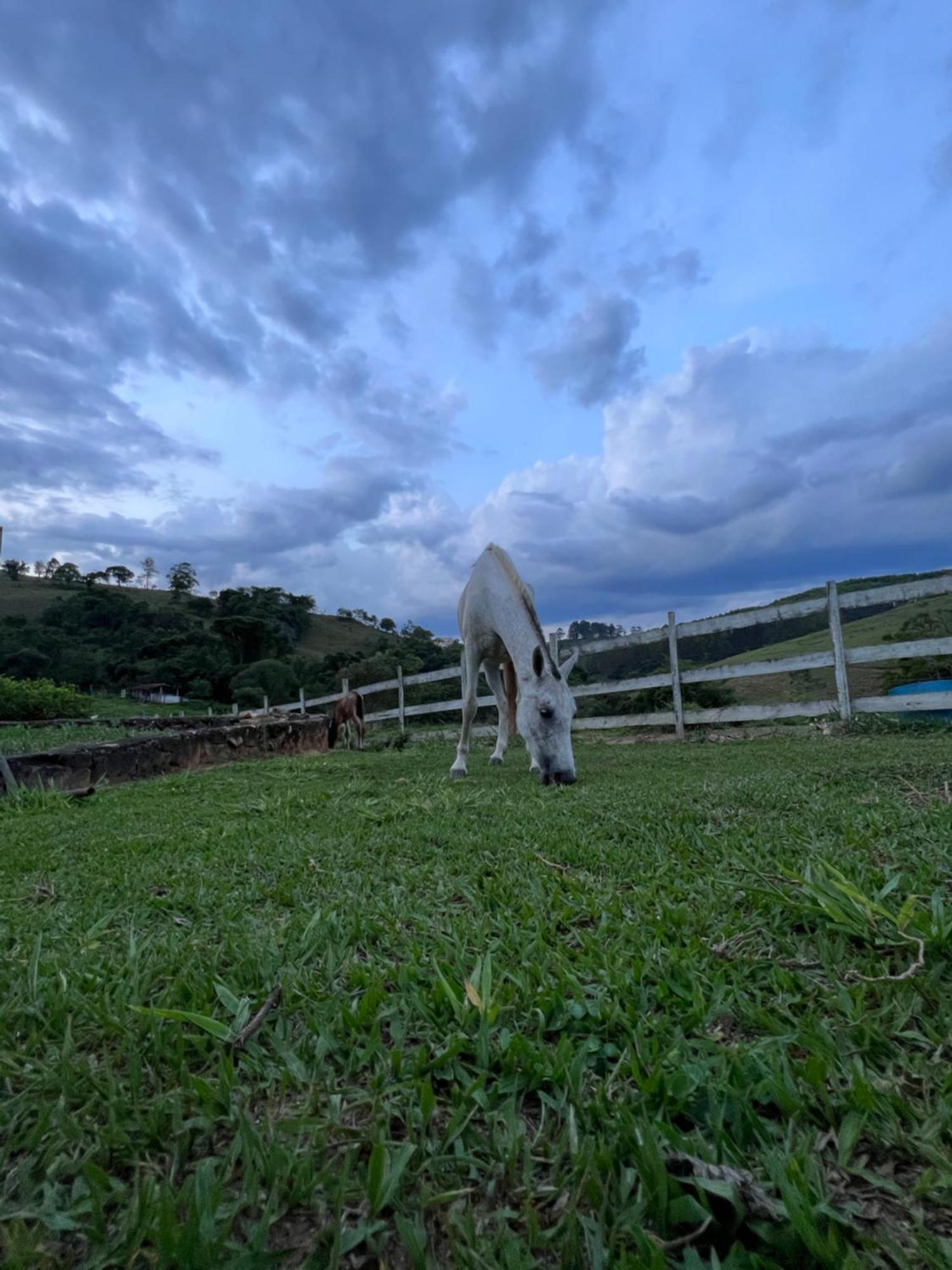 Готель Fazenda Do Engenho Santa Rita do Rio Abaixo Екстер'єр фото