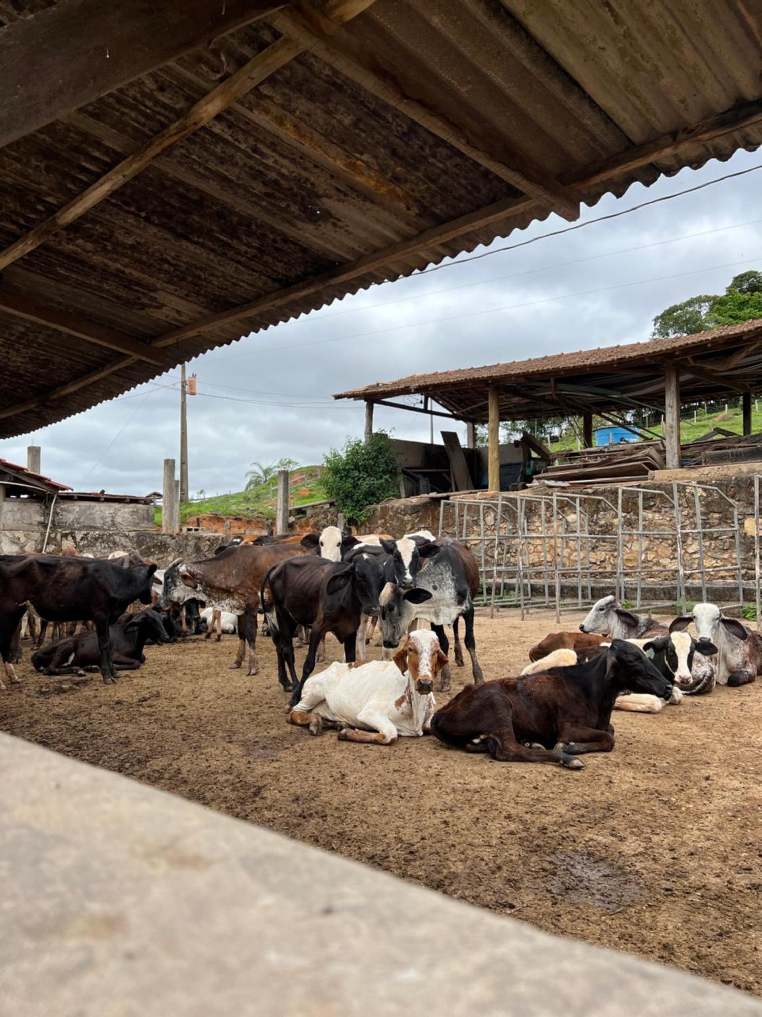 Готель Fazenda Do Engenho Santa Rita do Rio Abaixo Екстер'єр фото