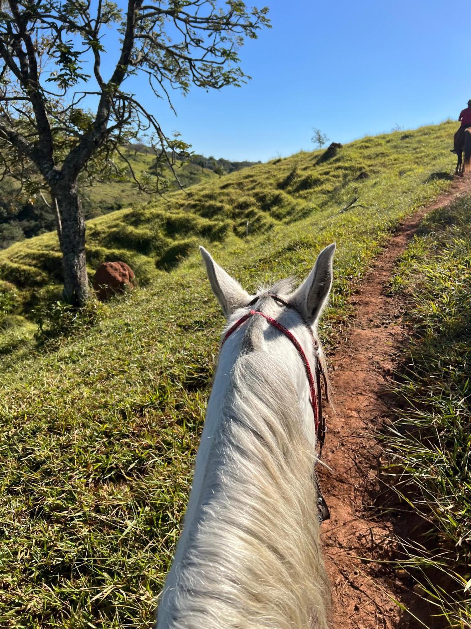 Готель Fazenda Do Engenho Santa Rita do Rio Abaixo Екстер'єр фото